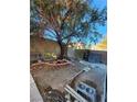 Backyard with a tree and some landscaping at 5345 Tustin Hills St, North Las Vegas, NV 89081