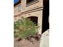 Building exterior with well-maintained landscaping at 5751 E Hacienda Ave # 114, Las Vegas, NV 89122