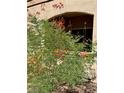 Vibrant flowers and green plants add curb appeal at 5751 E Hacienda Ave # 114, Las Vegas, NV 89122