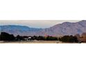 Community view with mountains in the background and mature trees at 6632 Nimbus Ave # Lot 25, Las Vegas, NV 89130