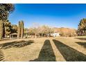 Community park with playground and shaded areas at 768 Tozzetti Ln, Henderson, NV 89012