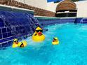 Three solar powered ducks in a refreshing blue swimming pool at 9366 W Viking Rd, Las Vegas, NV 89147