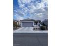 Single story home with a two car garage and front yard at 3025 Seaford Peak Dr, Henderson, NV 89052