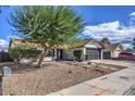 Landscaped yard with gravel and a large tree in front of the house at 3425 Irv Marcus Dr, Las Vegas, NV 89108