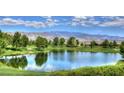 Scenic community view with a lake, golf course, and mountain backdrop at 4290 S Gressa St, Pahrump, NV 89061