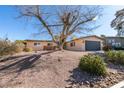 Single story home with mature tree and gravel landscaping at 607 Sierra Ln, Henderson, NV 89002