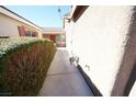 Exterior shot of the side yard with a well-manicured hedge running alongside a pathway at 1025 Chestnut Bay Ave, North Las Vegas, NV 89031