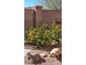 Landscaped backyard with lemon tree and garden statues at 5635 Exotic Rosette Ave, Las Vegas, NV 89139