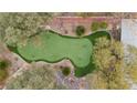 Aerial view of a backyard putting green surrounded by mature trees and rock features at 7450 Via Olivero Ave, Las Vegas, NV 89117