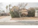 House exterior showcasing a tree and driveway at 6443 Silverfield Dr, Las Vegas, NV 89103
