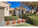 One-story house with well-maintained landscaping at 10228 Questa Sera Ct, Las Vegas, NV 89135