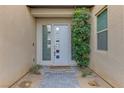 Modern front entrance with white door and landscaping at 11287 Idyllic Dr # 102, Las Vegas, NV 89135