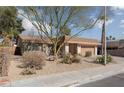 House with desert landscaping and a large tree in the front yard at 3126 Cabachon Ave, Las Vegas, NV 89121