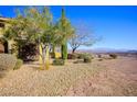 Backyard area featuring a mix of decorative rock, desert landscaping, and views of the surrounding area at 4 Via Centrale # 3, Henderson, NV 89011