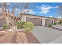 Attached two car garage with automatic door and green landscaping at 2541 La Cara Ave, Las Vegas, NV 89121