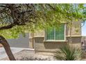 Close up of a window and landscaping of a tan house at 3357 Sheep Canyon St, Las Vegas, NV 89122