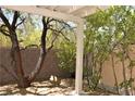 Backyard patio covered by a pergola with mature trees and a rock feature near a block wall at 10239 Premia Pl, Las Vegas, NV 89135