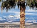 A beautiful palm tree and stunning snow-covered mountain views from the backyard at 2764 Leys Burnett Ave, Henderson, NV 89044