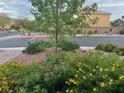 Landscaped front yard with colorful flowerbeds, healthy shrubs, and mature tree at 368 Misty Moonlight St, Henderson, NV 89015