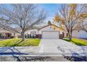 Inviting single-story home boasting a well-kept lawn, mature trees, and a convenient two-car garage at 1323 Winter Solstice Ave, Henderson, NV 89014