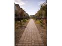 Brick paved walkway lined with trees between residential buildings at 2946 Plum Torte St, Las Vegas, NV 89122