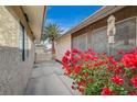 Landscaped courtyard featuring bright bougainvillea and a decorative shell chime at 6870 Laronda Ln, Las Vegas, NV 89156