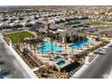 Aerial view of the community pool featuring palm trees, sun loungers, hot tub, and manicured landscaping at 6756 Millbury St, North Las Vegas, NV 89086