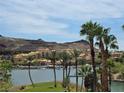 Scenic view of a lakeside community featuring palm trees, terra-cotta buildings, and mountains in the background at 9 Promenade Isle Ln, Henderson, NV 89011