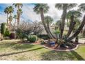 Well-kept front yard showcasing a xeriscaped garden with palm trees and verdant lawn at 5212 Painted Lakes Way, Las Vegas, NV 89149