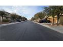 Wide street view showing the paved road, lined with houses and trees at 8824 Martin Downs Pl, Las Vegas, NV 89131