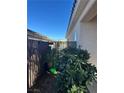 Fenced backyard area featuring decorative plants that adds privacy to the outdoor space at 1395 Kapelle St, Henderson, NV 89052