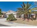 A beautiful front yard featuring gravel landscaping, palm trees, and a well-maintained lawn at 9204 Gentle Cascade Ave, Las Vegas, NV 89178