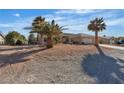 Charming single story home with desert landscaping, palm trees, and a well maintained lawn at 5841 Doubletree Rd, Pahrump, NV 89061