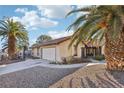 Landscaped home exterior with a paved driveway, large palm trees, and desert rock at 8805 Pavia Dr, Las Vegas, NV 89117