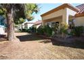 View of a well-maintained backyard with desert landscaping, plants, and trees in a residential neighborhood at 8916 Evening Star Dr, Las Vegas, NV 89134