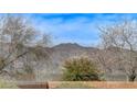 A scenic view of the mountains in the distance, framed by trees and the brick backyard fence at 2204 Bay Thrush Way, North Las Vegas, NV 89084