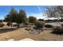 Desert landscaping featuring rocks and drought-tolerant plants creates a natural and low-maintenance yard at 720 Florida St, Pahrump, NV 89048