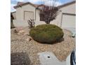 Landscaped front yard with desert rock, mature bush, and desert-friendly trees at 7745 Fruit Dove St, North Las Vegas, NV 89084