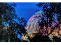 A view of the High Roller Wheel peeking through tree branches at 210 E Flamingo Rd # 326, Las Vegas, NV 89169