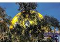 The High Roller Wheel at night is partially obscured by trees at 210 E Flamingo Rd # 326, Las Vegas, NV 89169