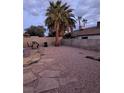 Private backyard featuring desert landscaping and mature palm trees, perfect for relaxing at , Las Vegas, NV 89142