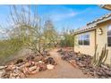 Side yard of a home with low-maintenance landscaping and cacti at 822 Fairview Dr, Henderson, NV 89015