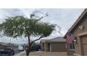 View of the house featuring a well established shade tree and an American flag at 1926 Neoga St, Las Vegas, NV 89115