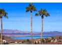 Scenic view showcases palm trees, nearby rooftops, and a distant lake with a mountain backdrop at 380 Claremont St, Boulder City, NV 89005