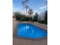 Refreshing private pool surrounded by lush landscaping, offering a serene backyard oasis for relaxation and entertainment at 3417 Iberia St, Las Vegas, NV 89146