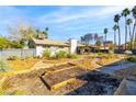 Expansive backyard with gardening beds surrounding the home and mature palm trees in the distance at 1513 Kirkland Ave, Las Vegas, NV 89102