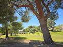 Scenic view of the community park featuring mature trees and a pedestrian bridge at 3117 Brightridge Dr, Las Vegas, NV 89134