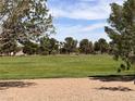 Expansive grassy area in a well-maintained park, perfect for recreation and relaxation at 8301 Strawberry Spring St, Las Vegas, NV 89143