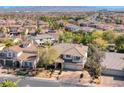 Aerial view of a desert community home featuring mature landscaping and a private driveway at 4481 Grey Spencer Dr, Las Vegas, NV 89141