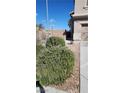 Well-maintained front yard showing mature landscaping and attractive stone ground cover at 10524 Congaree St, Las Vegas, NV 89141